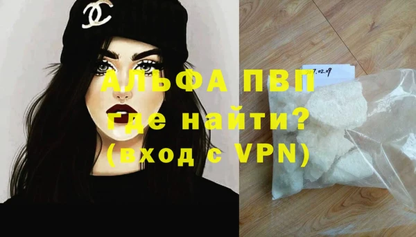 индика Новокубанск