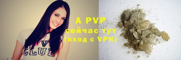 индика Новокубанск