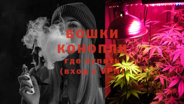 индика Новокубанск