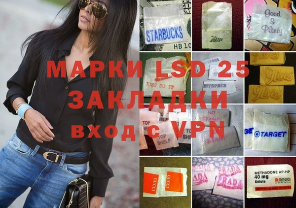 индика Новокубанск