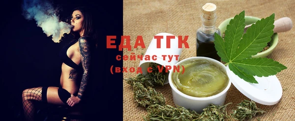 индика Новокубанск