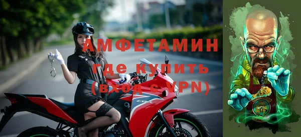 индика Новокубанск