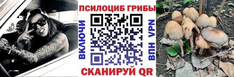 Псилоцибиновые грибы мухоморы  Купить где  Славск 